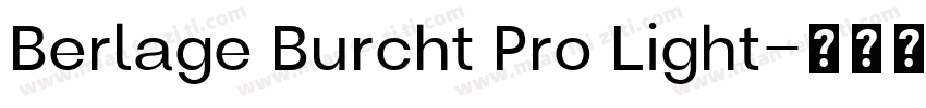 Berlage Burcht Pro Light字体转换